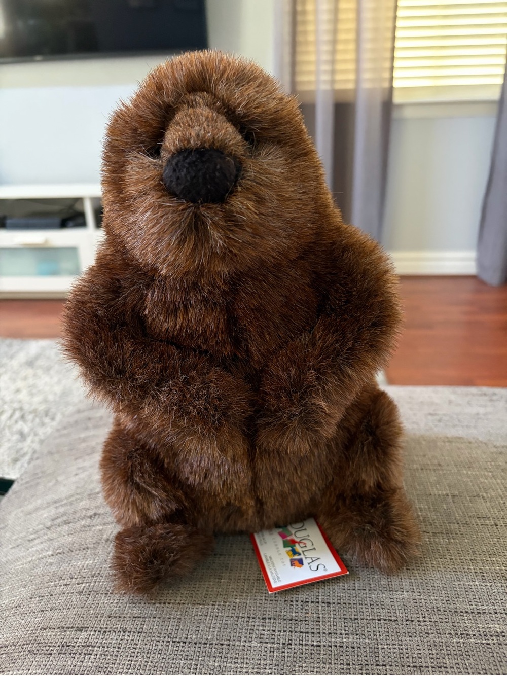 Douglas Cuddle Toy CHUCKWOOD the Plush GROUNDHOG 11” Stuffed Animal NEW W TAG